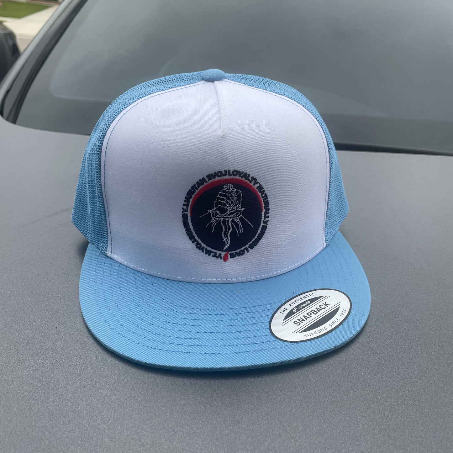 Sky Blue SnapBack